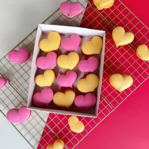 Caja 12 macarons “Alphonso el capibara amoroso”