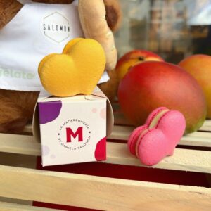 Caja 1 macaron “Alphonso el capibara amoroso”