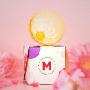 Macarons "Dulce Maceta"