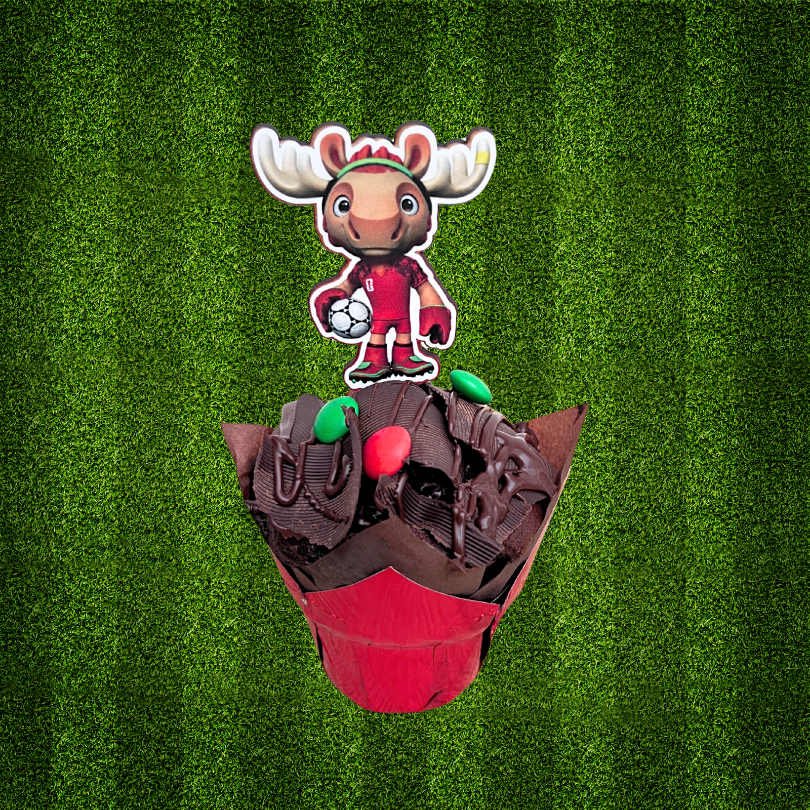 Tulipanes "Papá campeón" - Imagen 3